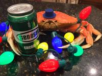 /home//u458753944/public_html/sourcegallery////contributed/Emergency Kits/crab.jpg
